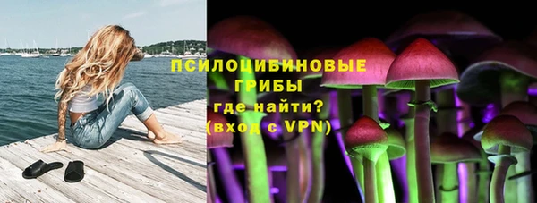 СК Алексин