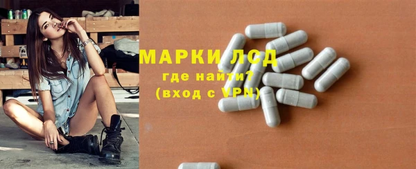 СК Алексин