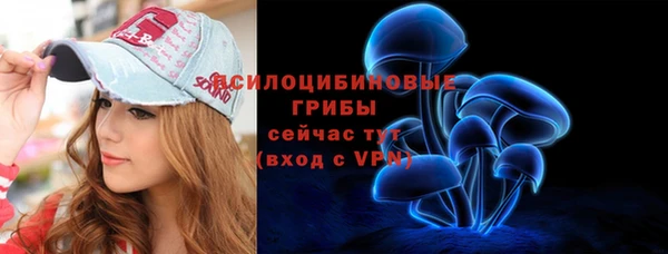 ПСИЛОЦИБИНОВЫЕ ГРИБЫ Алексеевка
