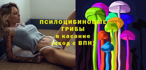 первитин Абинск