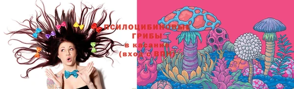 сатива Абаза