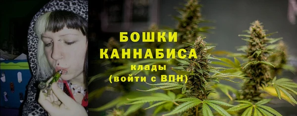 сатива Абаза